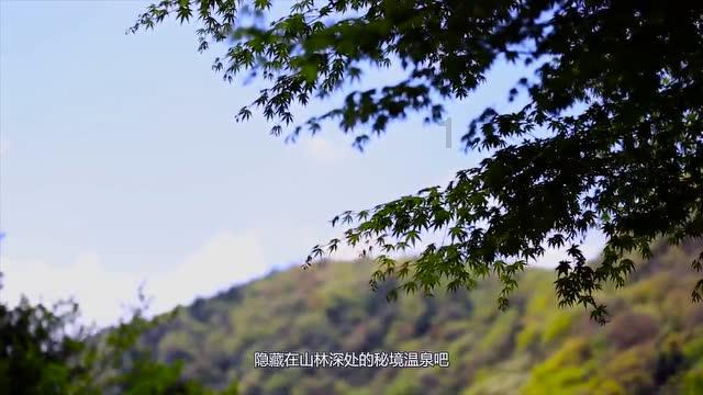 三星S24韩国预订量已接近120万台 全年或超3600万台